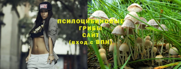 apvp Баксан