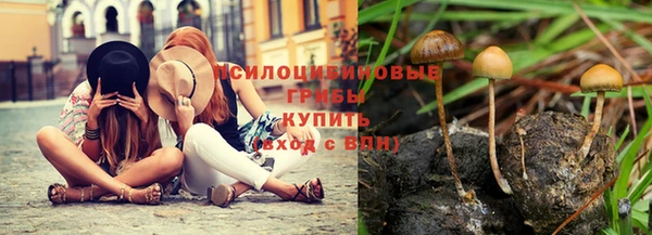 apvp Баксан