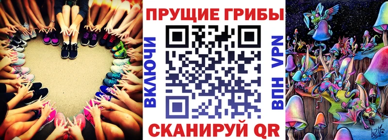 Галлюциногенные грибы Psilocybe  Орлов 
