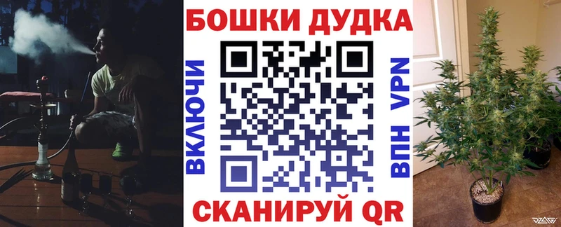 Бошки марихуана сатива  Орлов 